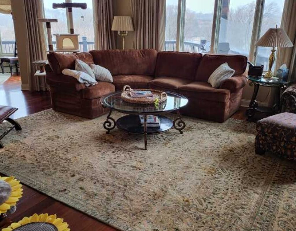 _uploads_nebraskaelitecleaning_2023_2_22_1677100421411f0d004ca847d2bfb3d2dfa64488b5 Eco-friendly house cleaning La Vista NE
